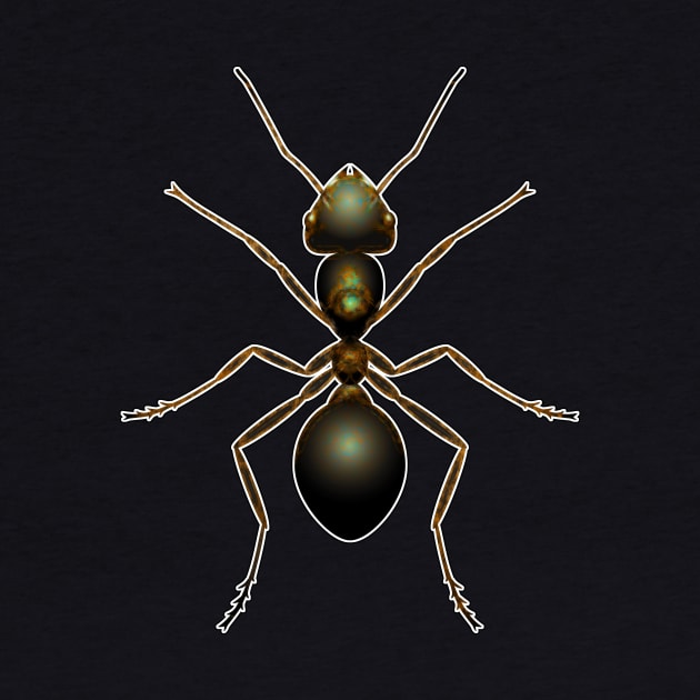 Ant by crunchysqueak
